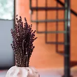 Vakantiehuis Black Balia Sauna