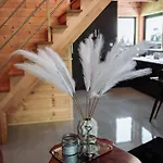 Black Balia Sauna