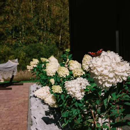 Black Balia Sauna Casa de Férias Nowy Klincz