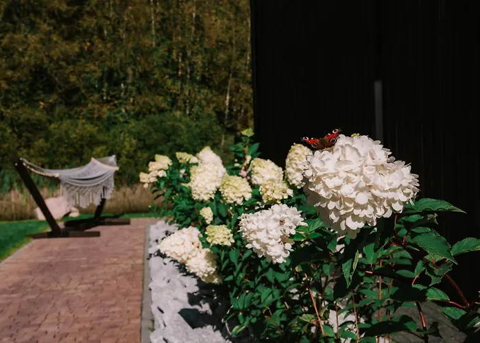 Black Balia Sauna Ferienhaus Nowy Klincz