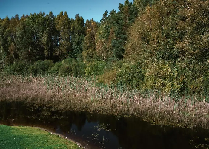 Black Balia Sauna Nowy Klincz