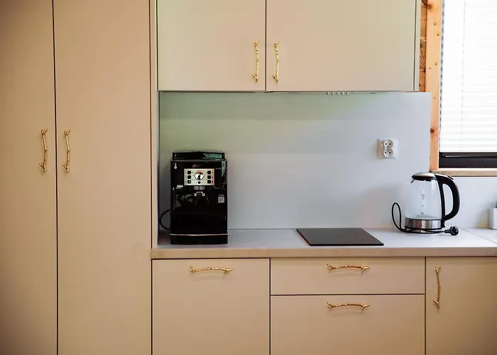 Black Balia Sauna Ferienhaus